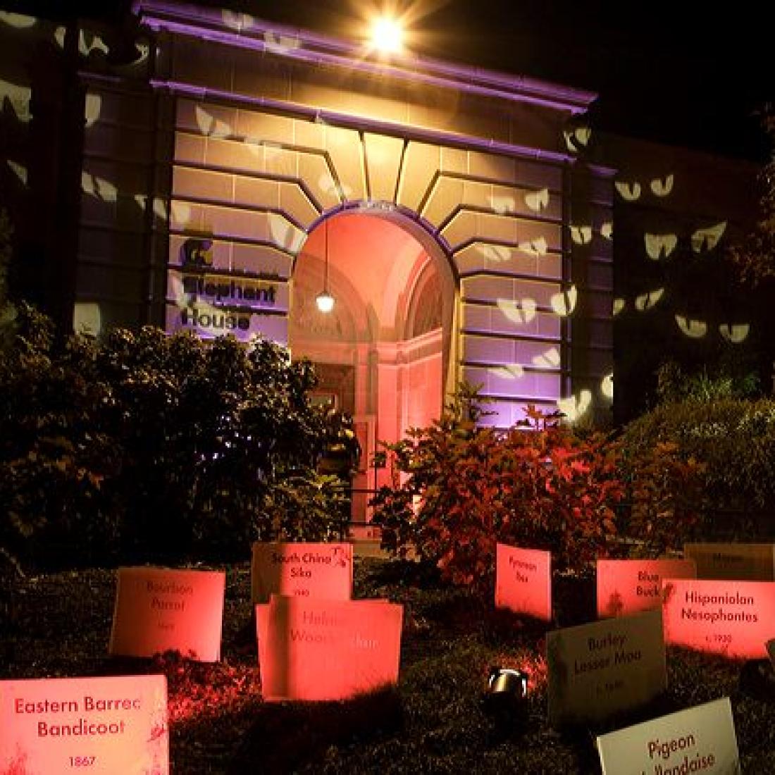 The zoo decorated for Halloween